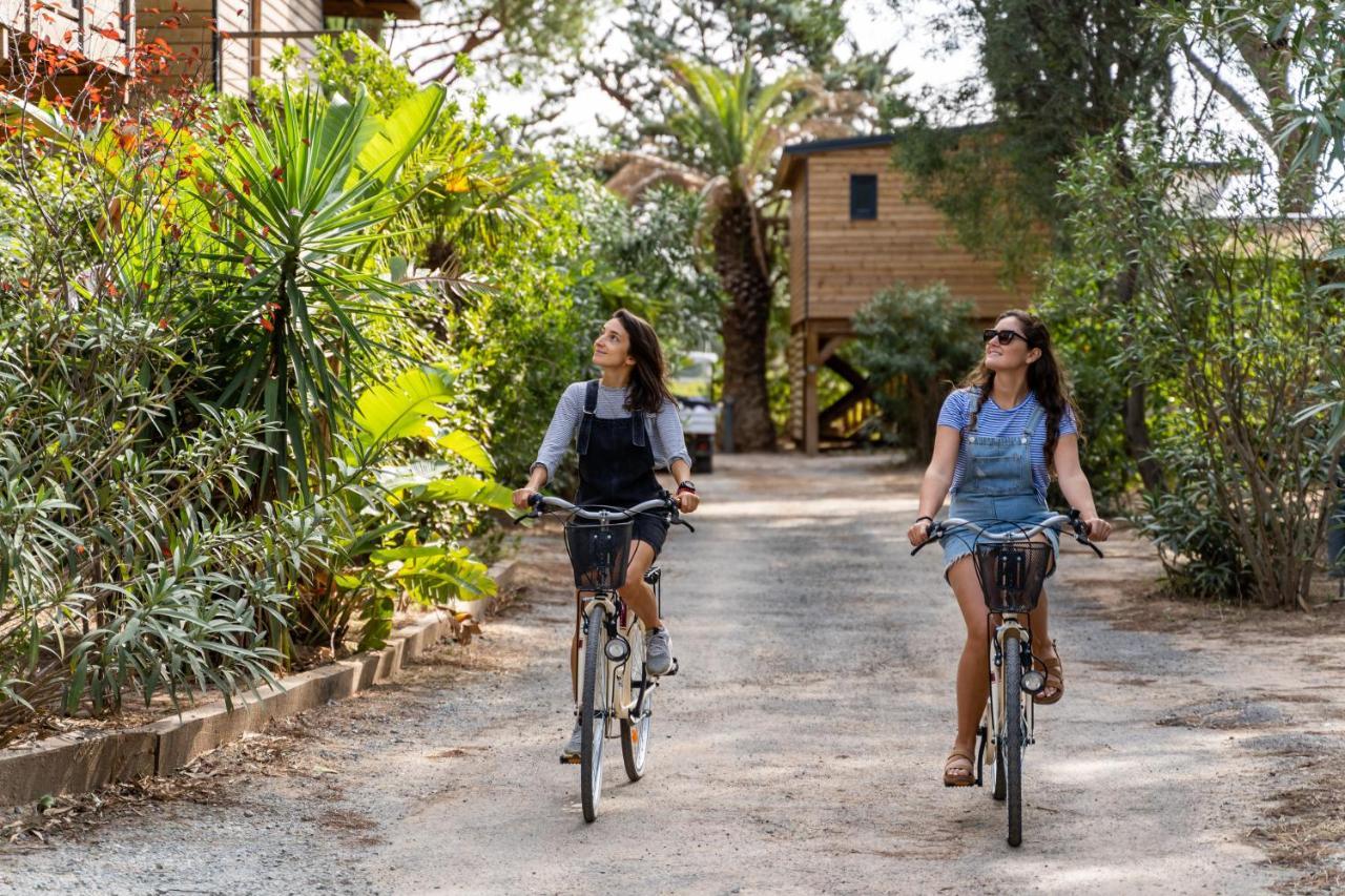 Ecolodge L'Etoile D'Argens Officiel サン・エギュルフ エクステリア 写真